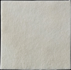 Coloplast Biatain Alginate Dressing