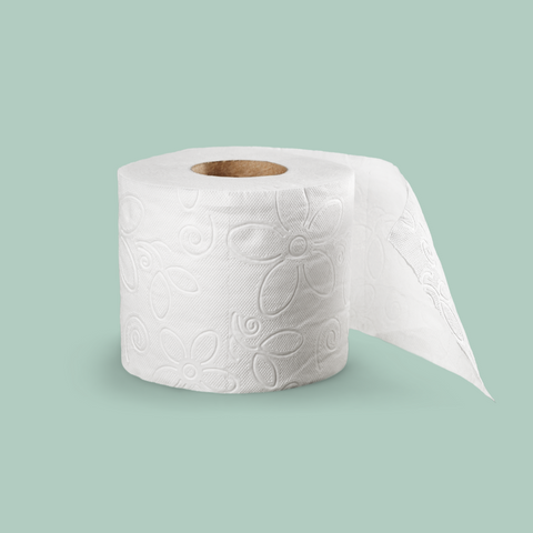 Toileting Aids