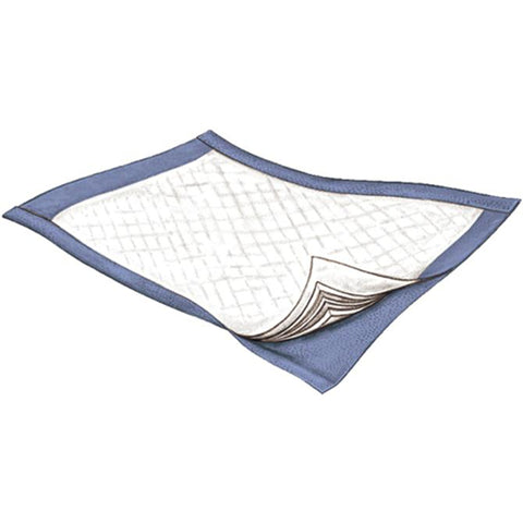 Passport Disposable Underpad, Moderate Absorbency
