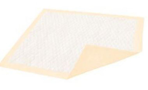 Dignity® Ultrashield® Plus Underpad